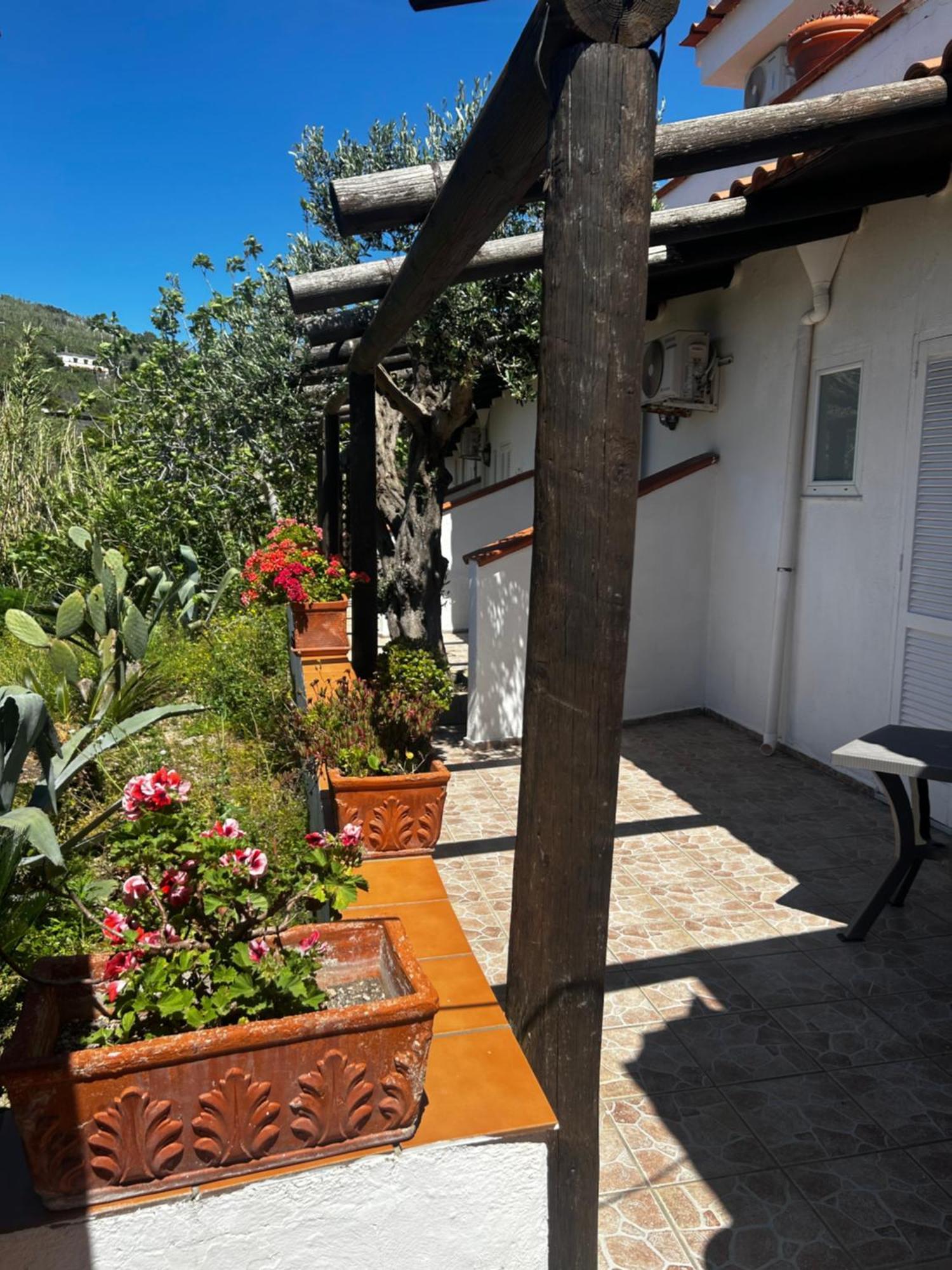 Hotel Punto Azzurro Forio di Ischia Exteriör bild