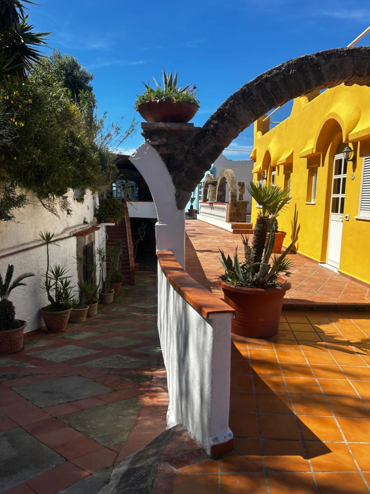 Hotel Punto Azzurro Forio di Ischia Exteriör bild