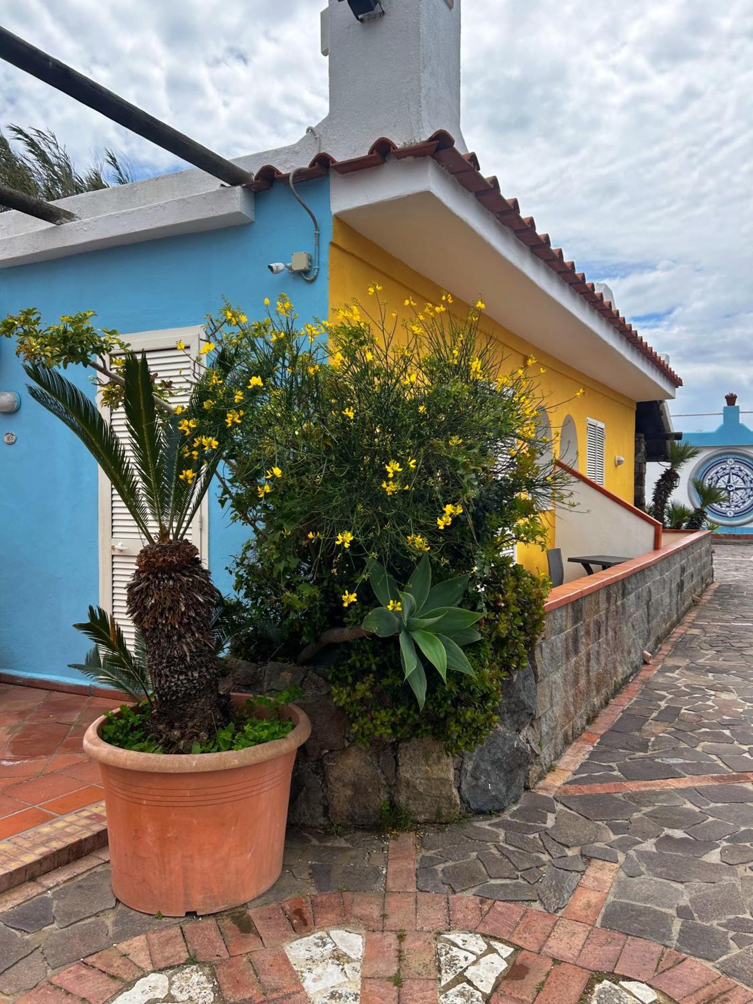 Hotel Punto Azzurro Forio di Ischia Exteriör bild