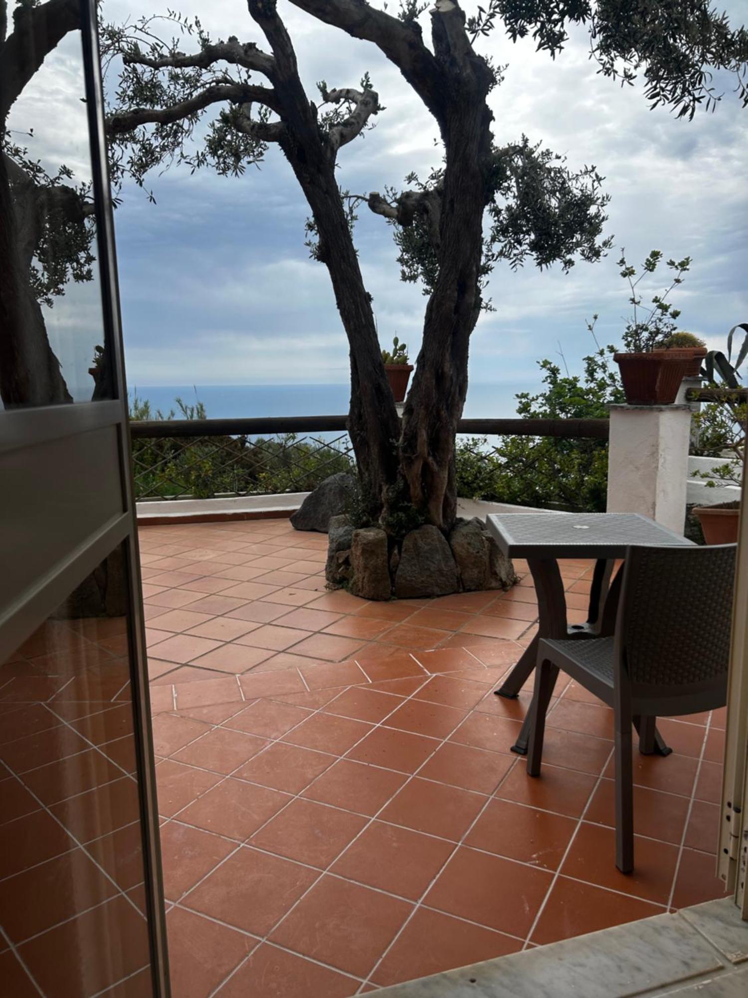 Hotel Punto Azzurro Forio di Ischia Exteriör bild